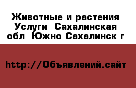 Животные и растения Услуги. Сахалинская обл.,Южно-Сахалинск г.